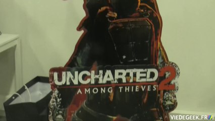 Fanday Uncharted 2 : Among Thieves