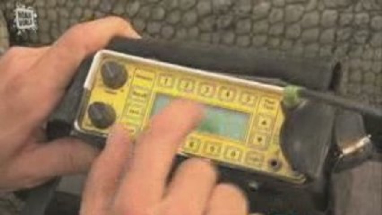 Gavial du Gange (Gavialis gangeticus) 2