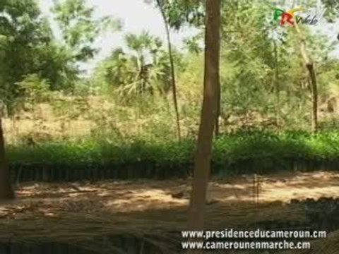 Propos Paul Biya Changements climatiques ONU New York