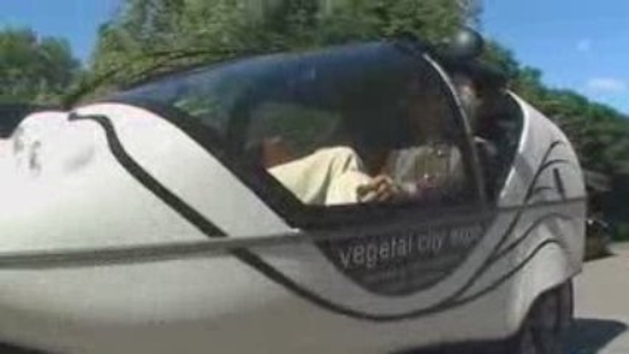 Végétal city - Luc Shuiten 2009