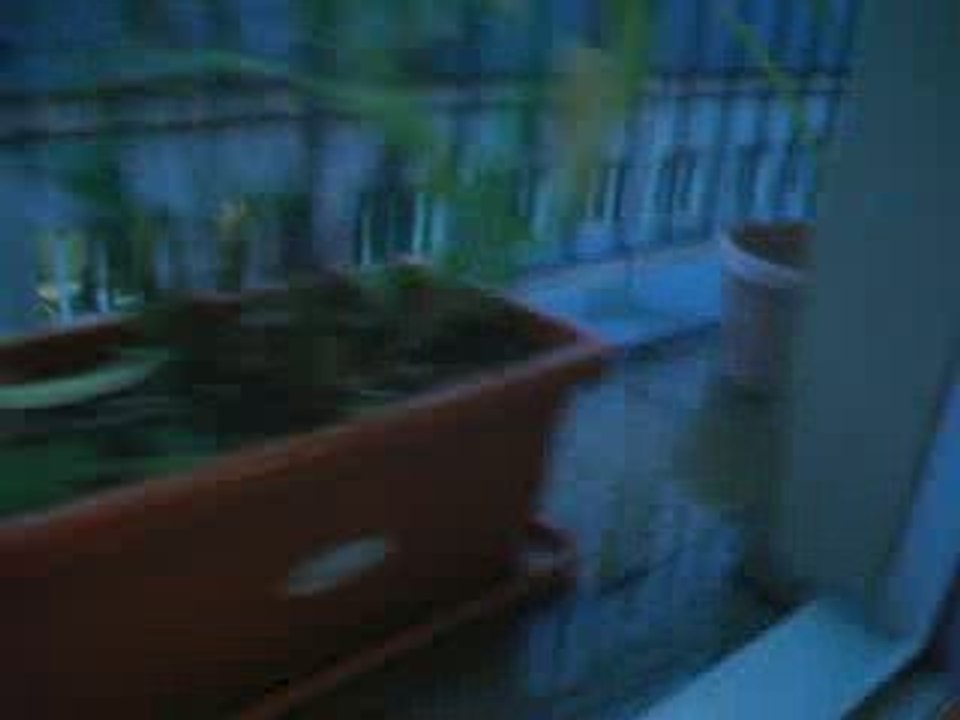 inondations à répétitions appart 64, 26 Ardennes 19ème