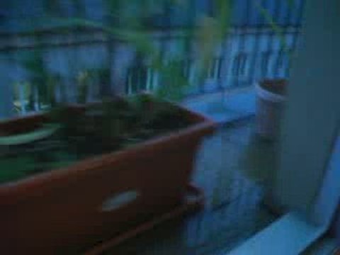 inondations à répétitions appart 64, 26 Ardennes 19ème