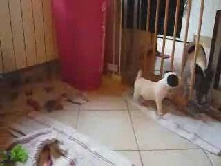 On grandit vite, vite, vite!!!