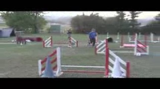 Boom Jumping Agility Villefranche 04/10/2009