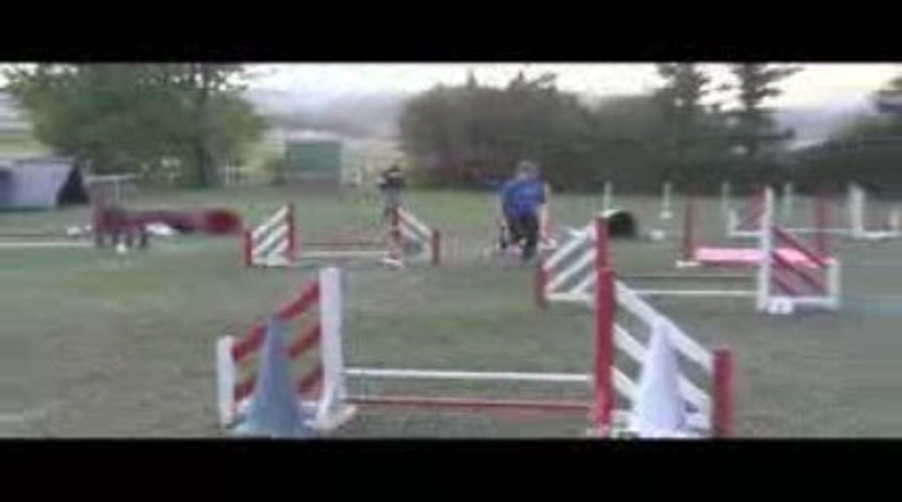 Boom Jumping Agility Villefranche 04/10/2009