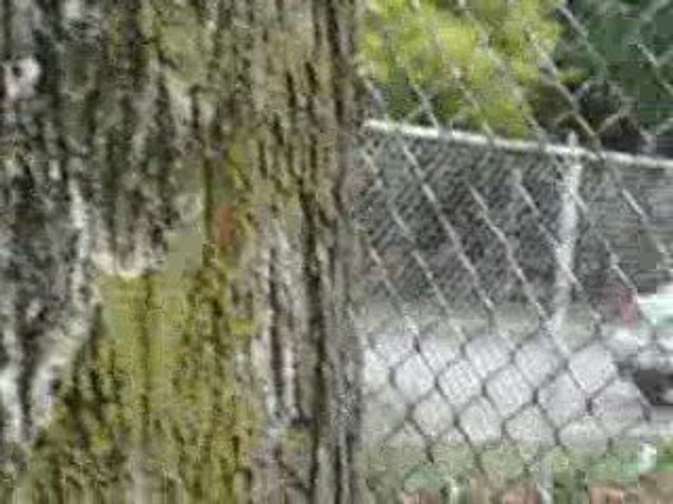 RUN! (FTTV)