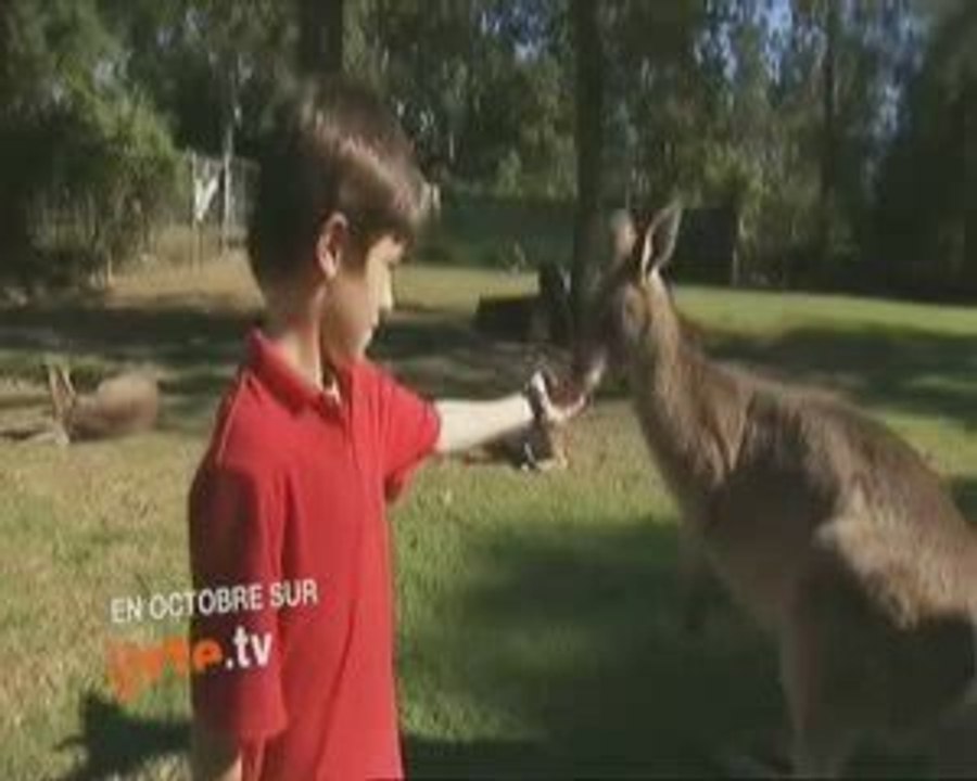 Concours Rêves d'enfants "Et toi, quel est ton rêve ?"