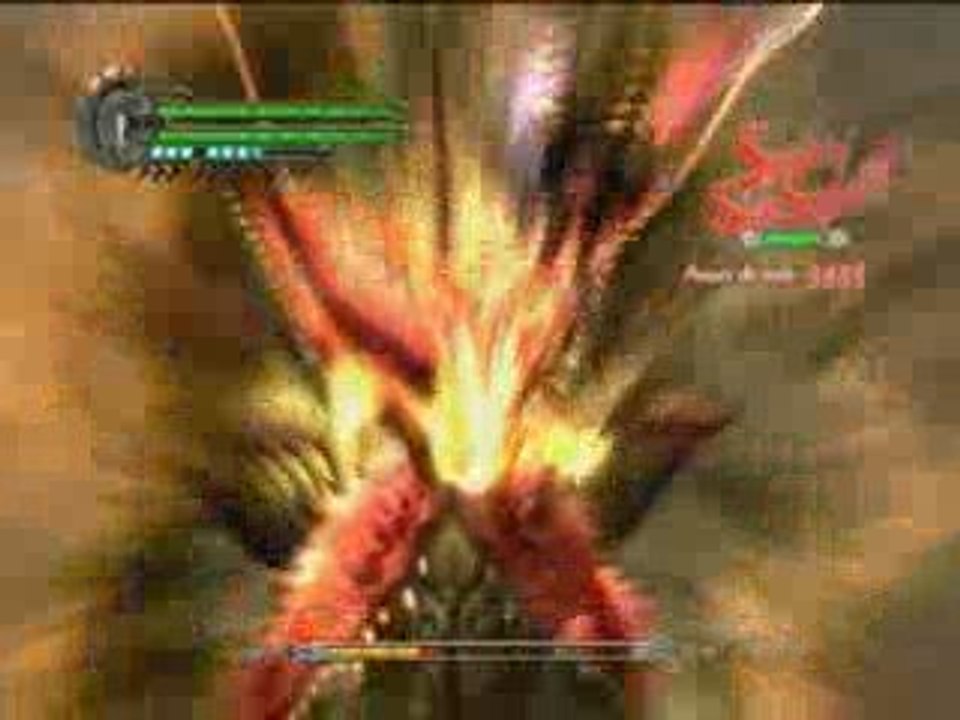 Néro VS Echidna DMD