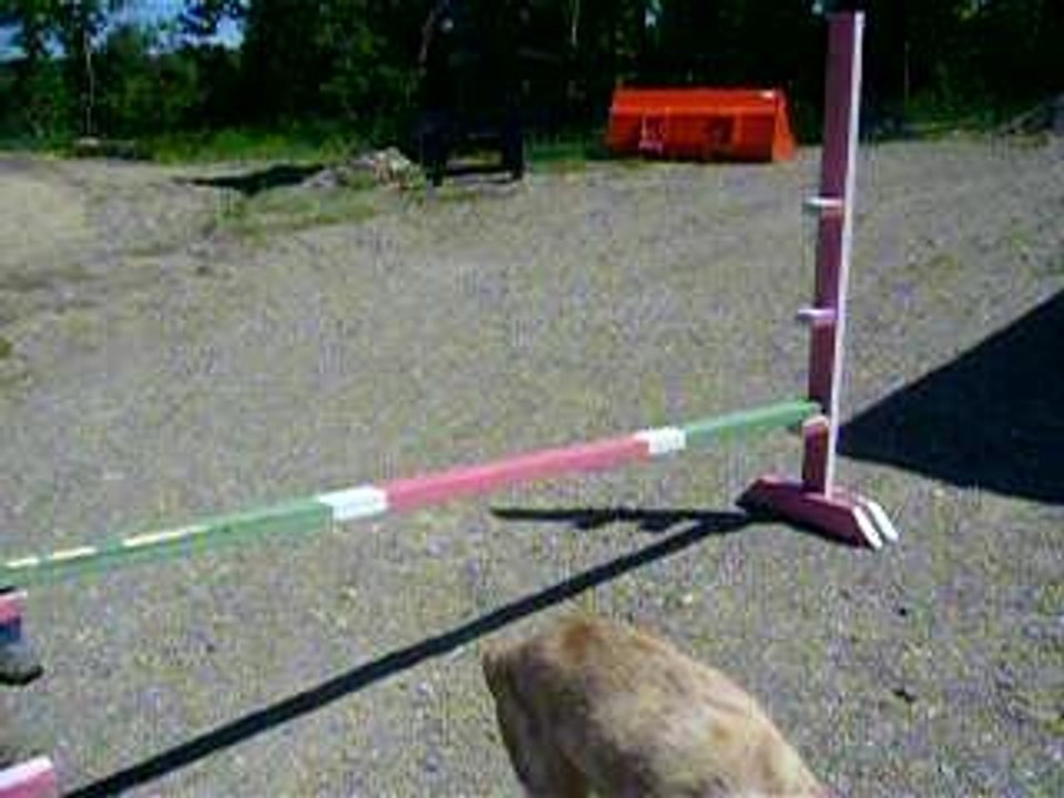 Photo 004
