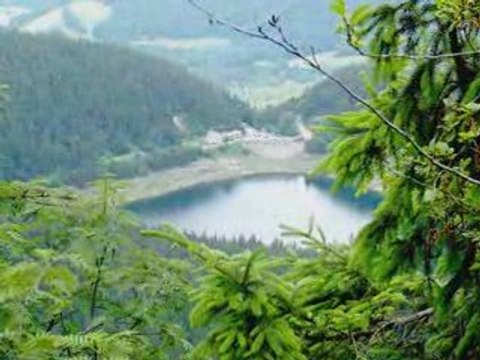 Ballade dans la Vallée de Munster - Les Hautes chaumes