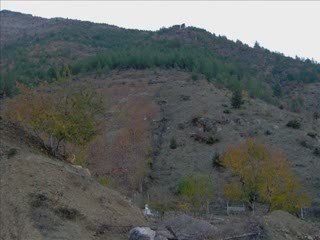 SAİMBEYLİ-TOROSLARIN İNCİSİ