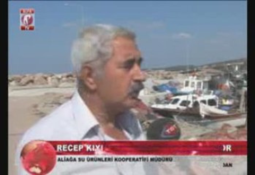 aliağa-balık-ölümleri-devam-ediyor