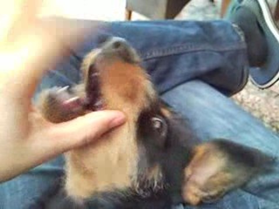 na na na na nèèreuuu