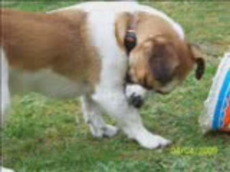 Agility
