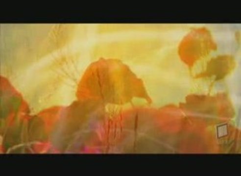 Litepanels Eco-Friendly LED Lighting Systems