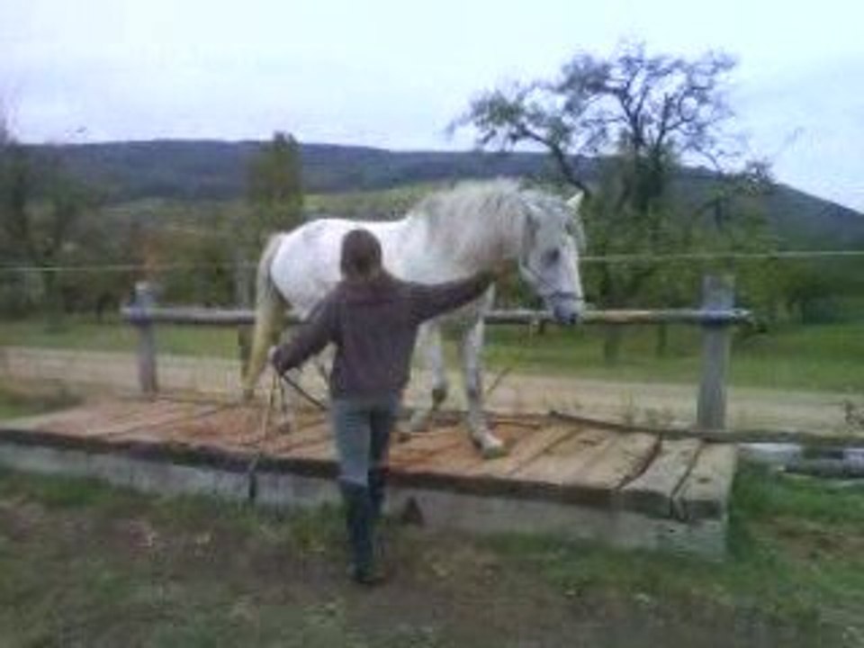 Milka et la pacerelle