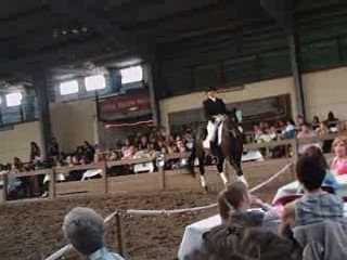 Spectacle JM Imbert au TEWI (pas de deux magnifique)