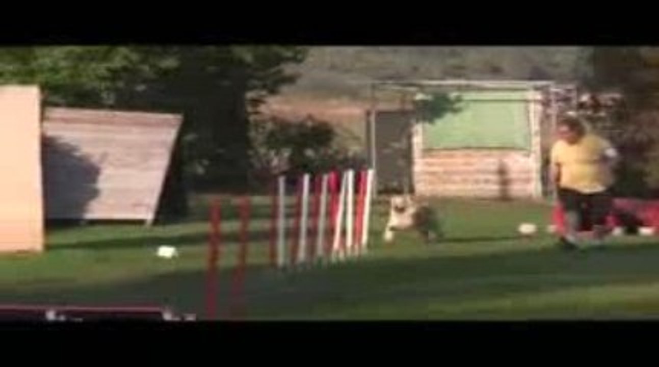 Salsa GPF Agility Villefranche 04/10/2009