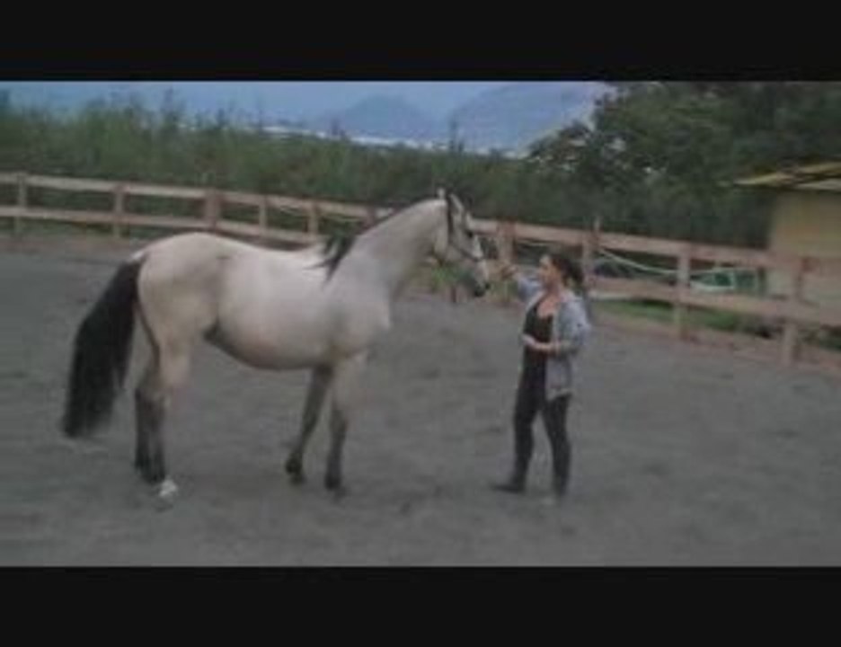 Poseido Sol 06.10.09