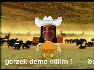 aptal kız