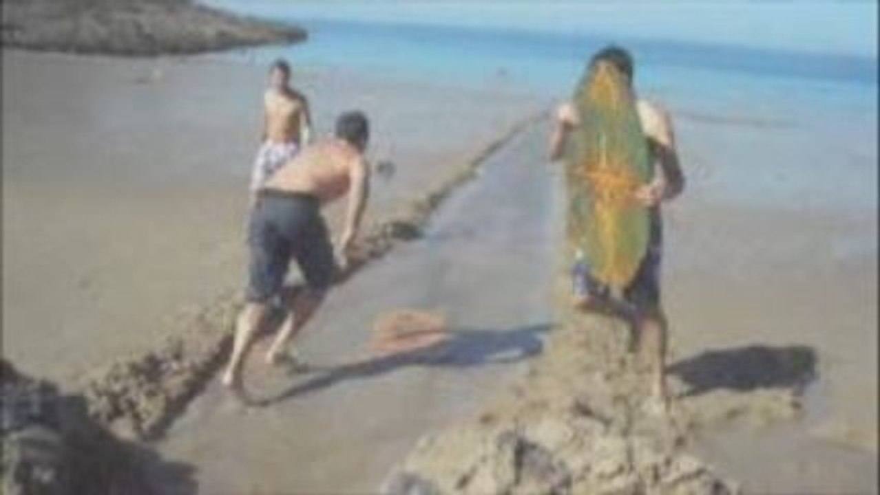 skim a cancale