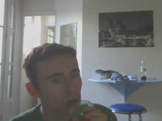 Wiwi égratigne "Les bobos"