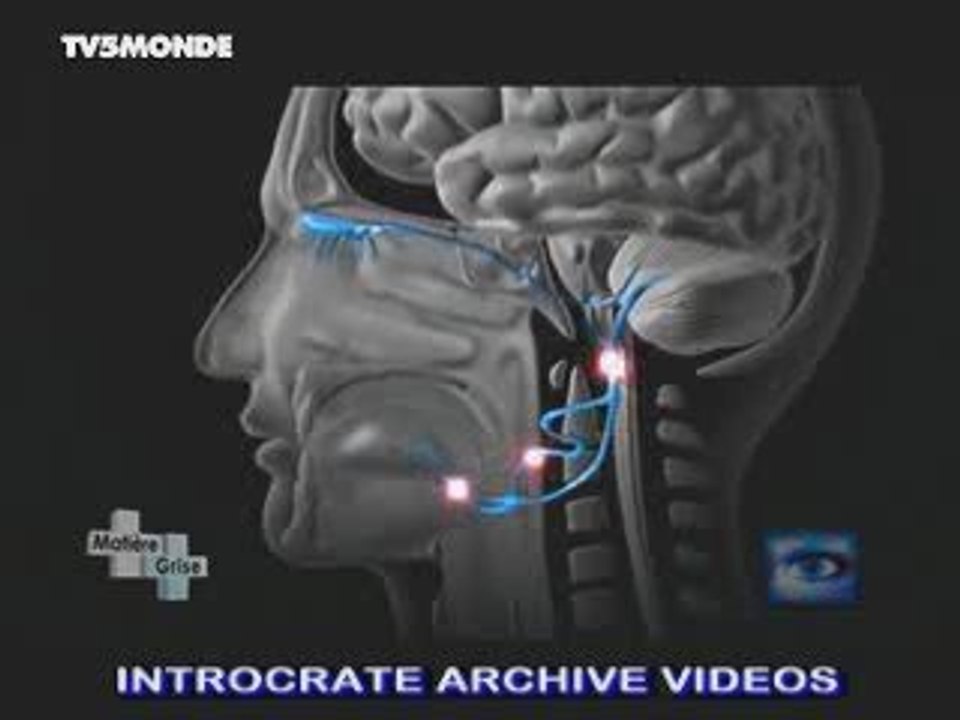 L'aspartame - Faux sucres vrais dangers