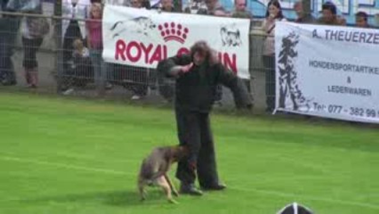 KNPV 2009 Eindhoven working-dog.eu