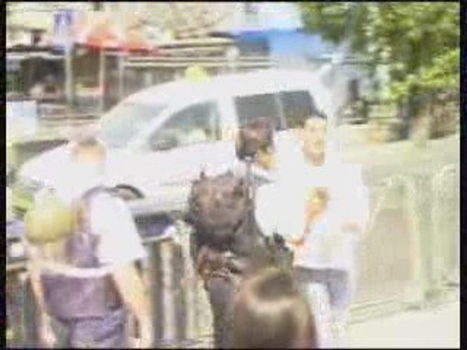 Répression sioniste dans les rues d'Al-Qods occupée