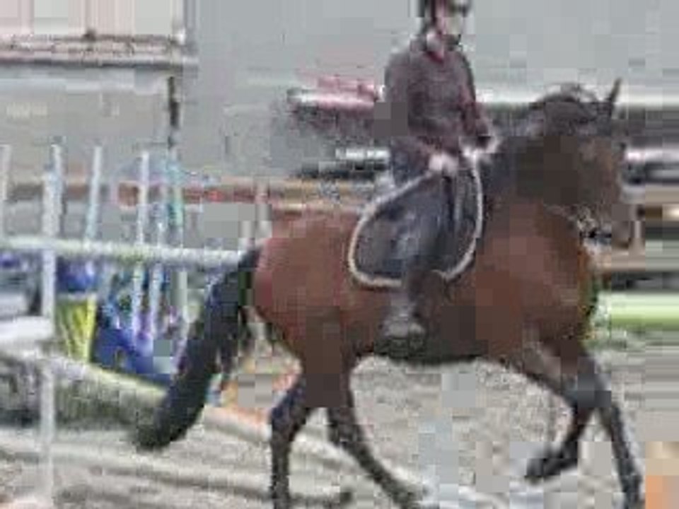 galop D