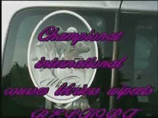 courses de leurre -lévrier Belfort 90