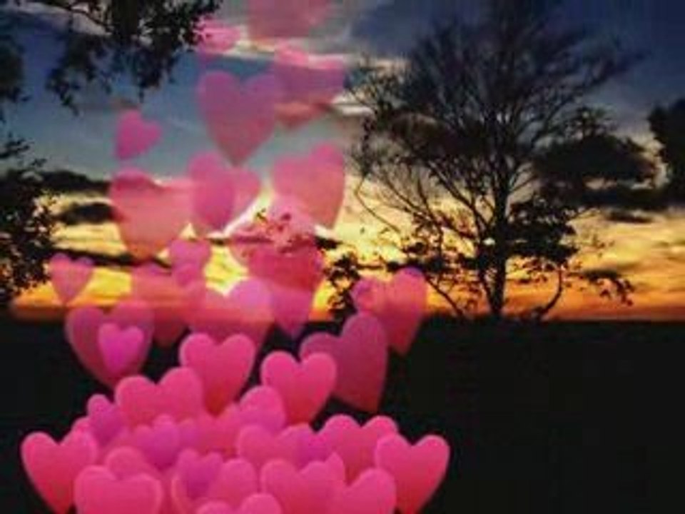 le mal d'amour le mal de toi