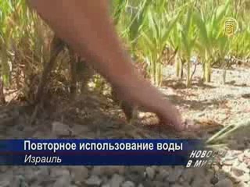 Обзор мировых событий от NTD