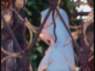 Fantome Apparition MIRACLE A SAN DAMIANO Avril 2009