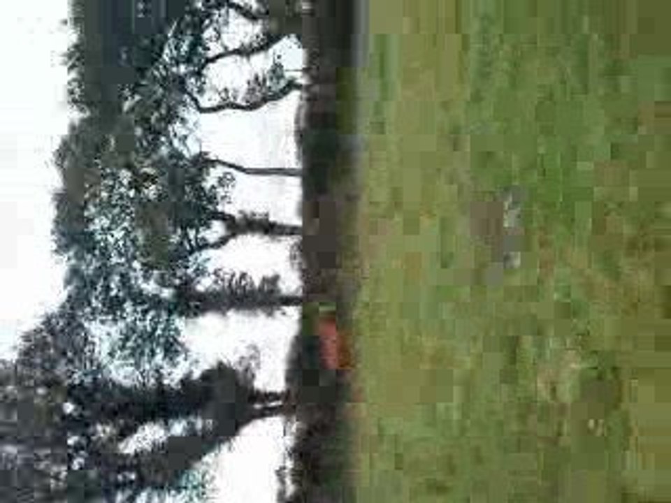 V101009_13.58