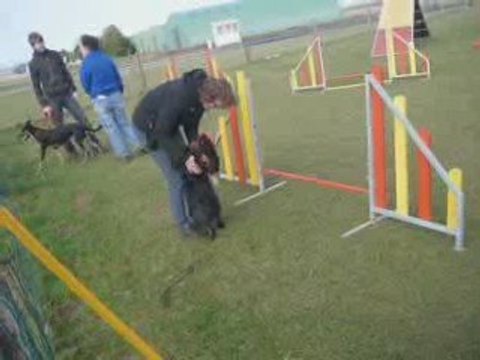 félicitation à Djengo