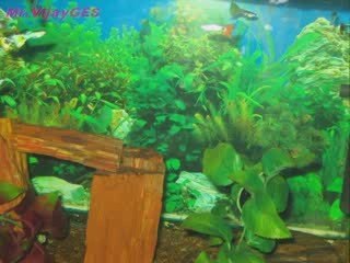 Bannerghatta National Park Bangalore