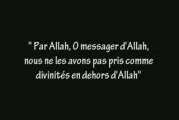 « Tawhid Al Hakimiya » (Relatif au gouvernement)