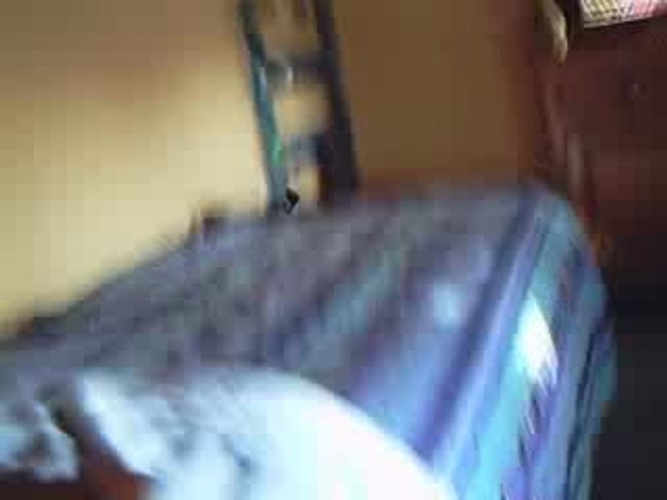 minouchat