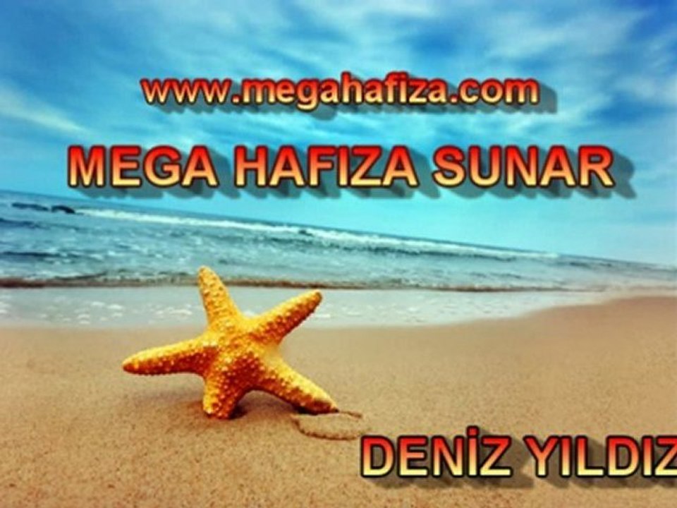 DENİZ YILDIZI - Kişisel Gelişim Hikayeleri - Melik Duyar