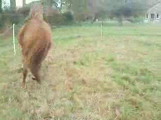 exo d'étho av mon gros