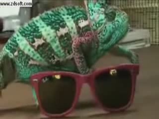 Can u still deny the Creator ALLAH Subhan wa taáala