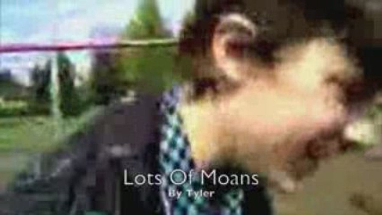 Random xD (Part2)