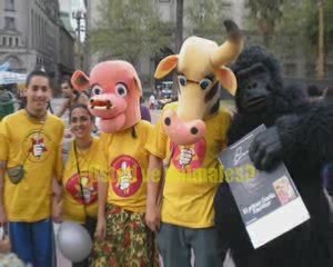 4/10 El día del Animal según un Animal.