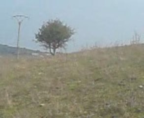 les problemes de l'heritage mais l'islam a tout eclaircie