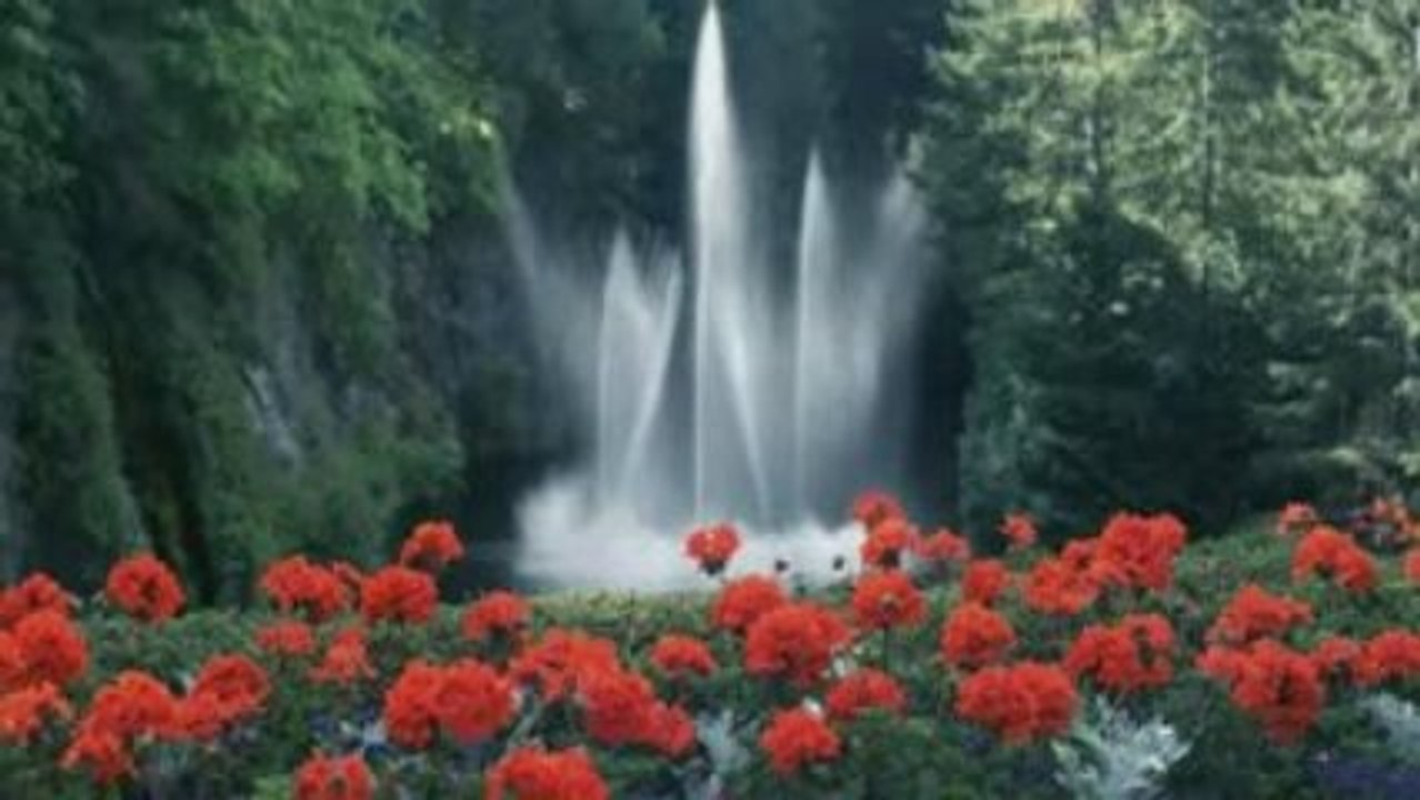 MEDWYN GOODALL - Betrothal