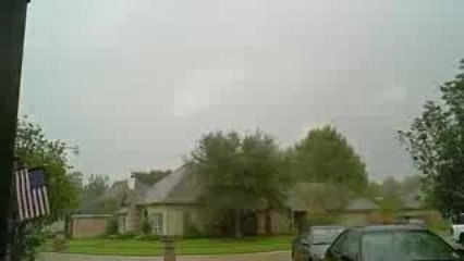 The TREES are FALLING! [10/9/09] - 170