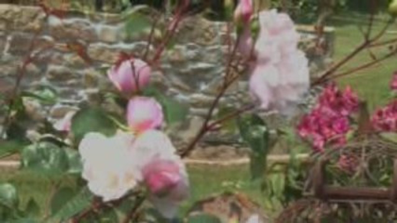 Domaine de  Moulin Mer, chambres d'hôtes de charme bord mer