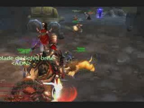 Karazhan - Conservateur, Minuit, Moroes - ADN