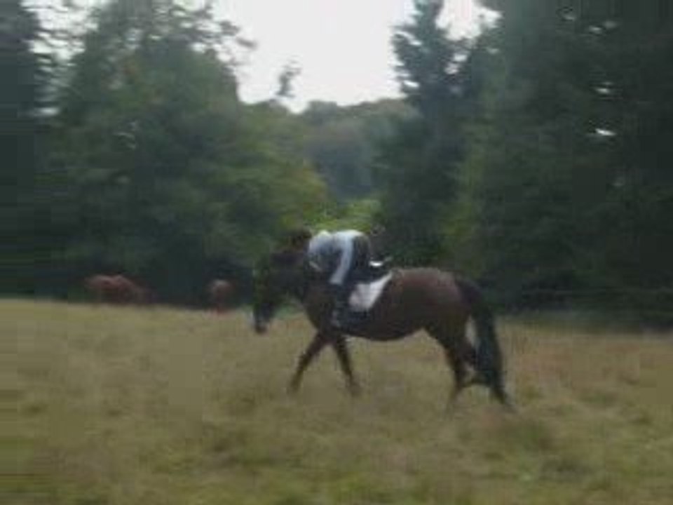 Pango & Moi